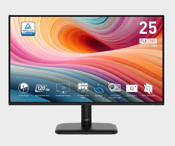 MSI PRO MP251LDE E2